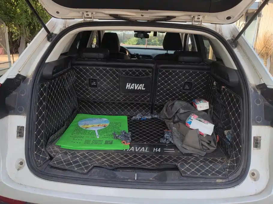 Haval H4 2020 2020 Enjoy Edition 1.5T Manual Smart