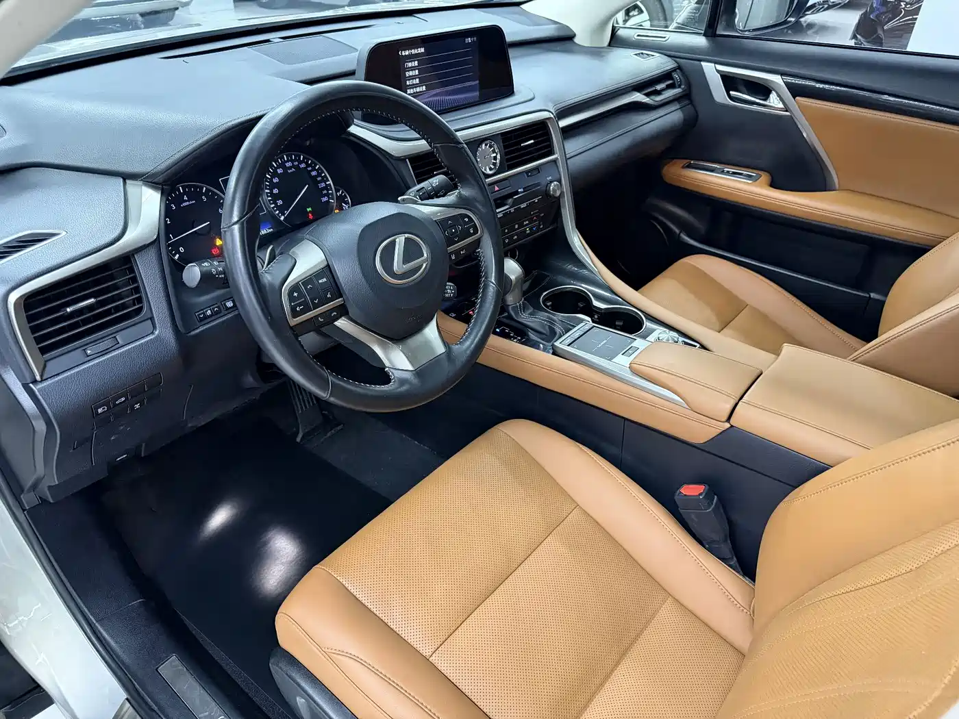 Фото 15 - Lexus RX
