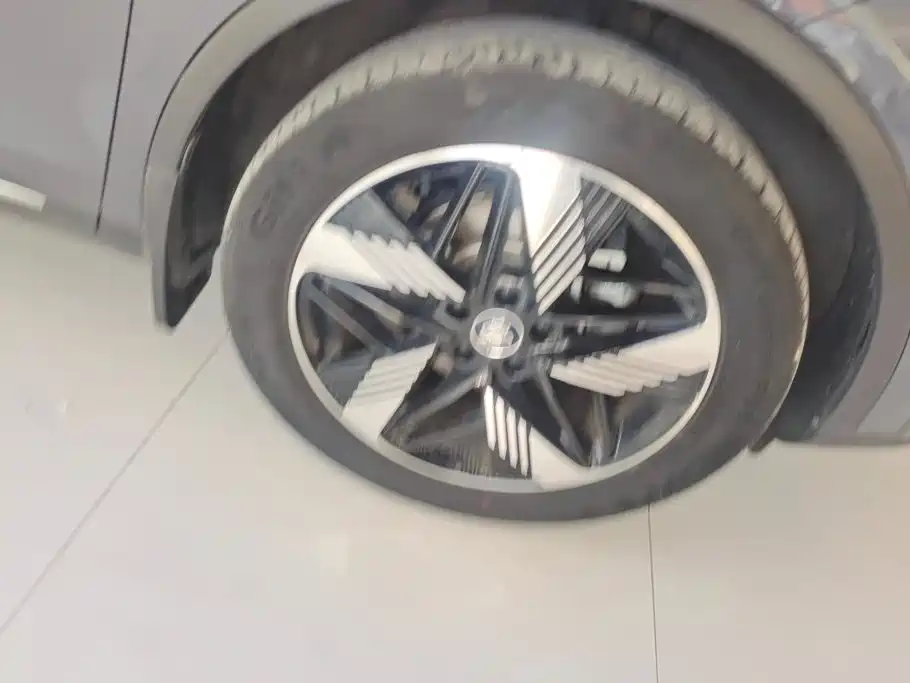 BYD Tang New Energy 2024 2023 Model DM-i Champion Edition 112KM Honor