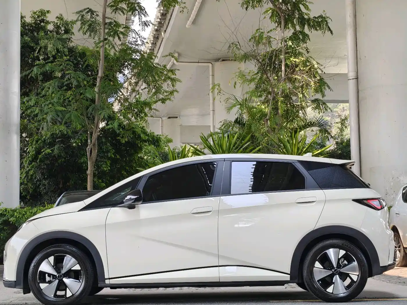 BYD Dolphin 2023 420km Fashion Edition фото 7