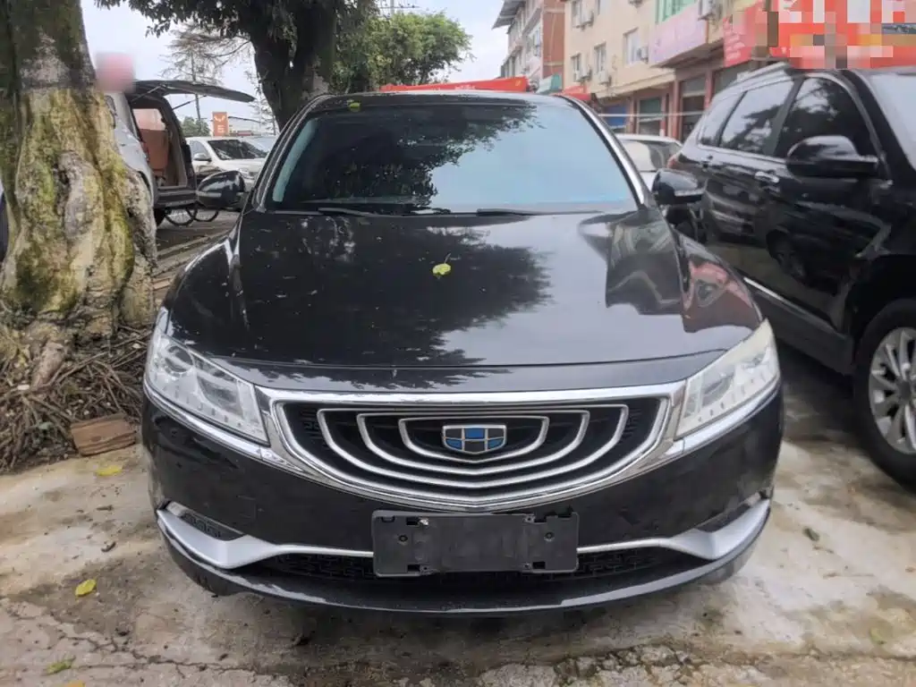 Фото 3 - Geely Borui