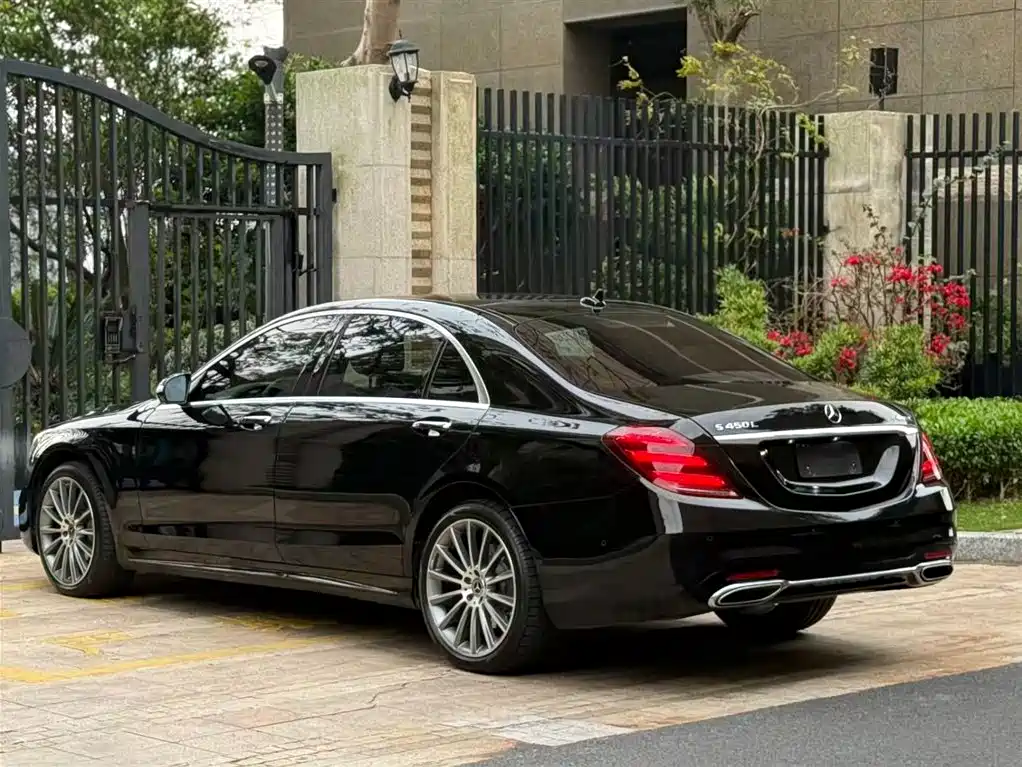 Mercedes-Benz S-Class 2018 S 450 L 4MATIC Excellence Special Edition фото 5