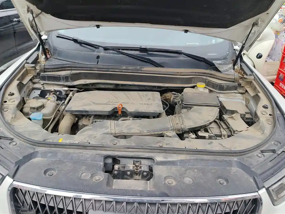 Haval H6 2021 1.5GDIT Automatic Champion Edition фото 10