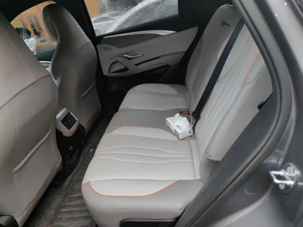 BYD Song Pro New Energy 2024 Glory Edition DM-i 110KM Surpassing фото 13