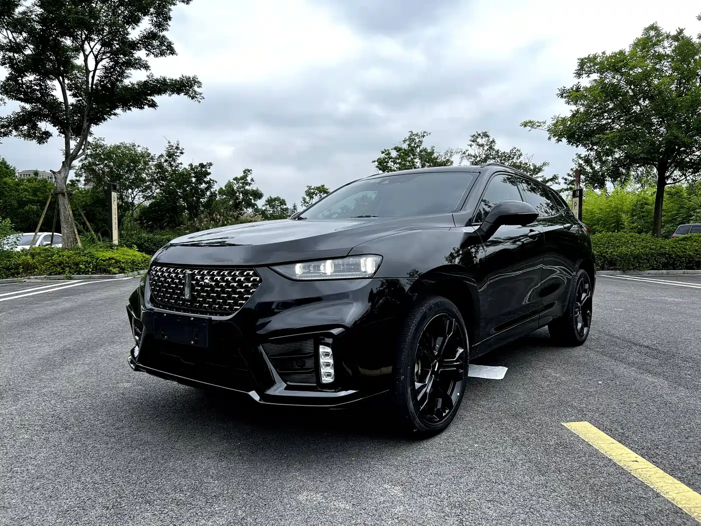 WEY VV7 2020 2020 Model 2.0T Flagship