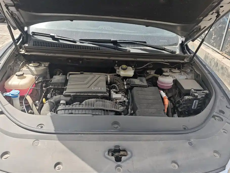 BYD Song Pro New Energy 2023 Champion Edition DM-i 110KM Excellence фото 10