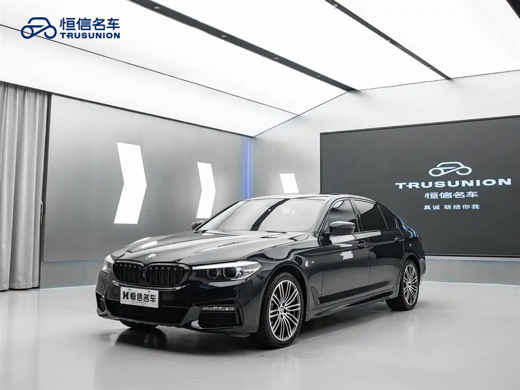 BMW 5 Series 2019 530Li xDrive M Sport Package фото 3