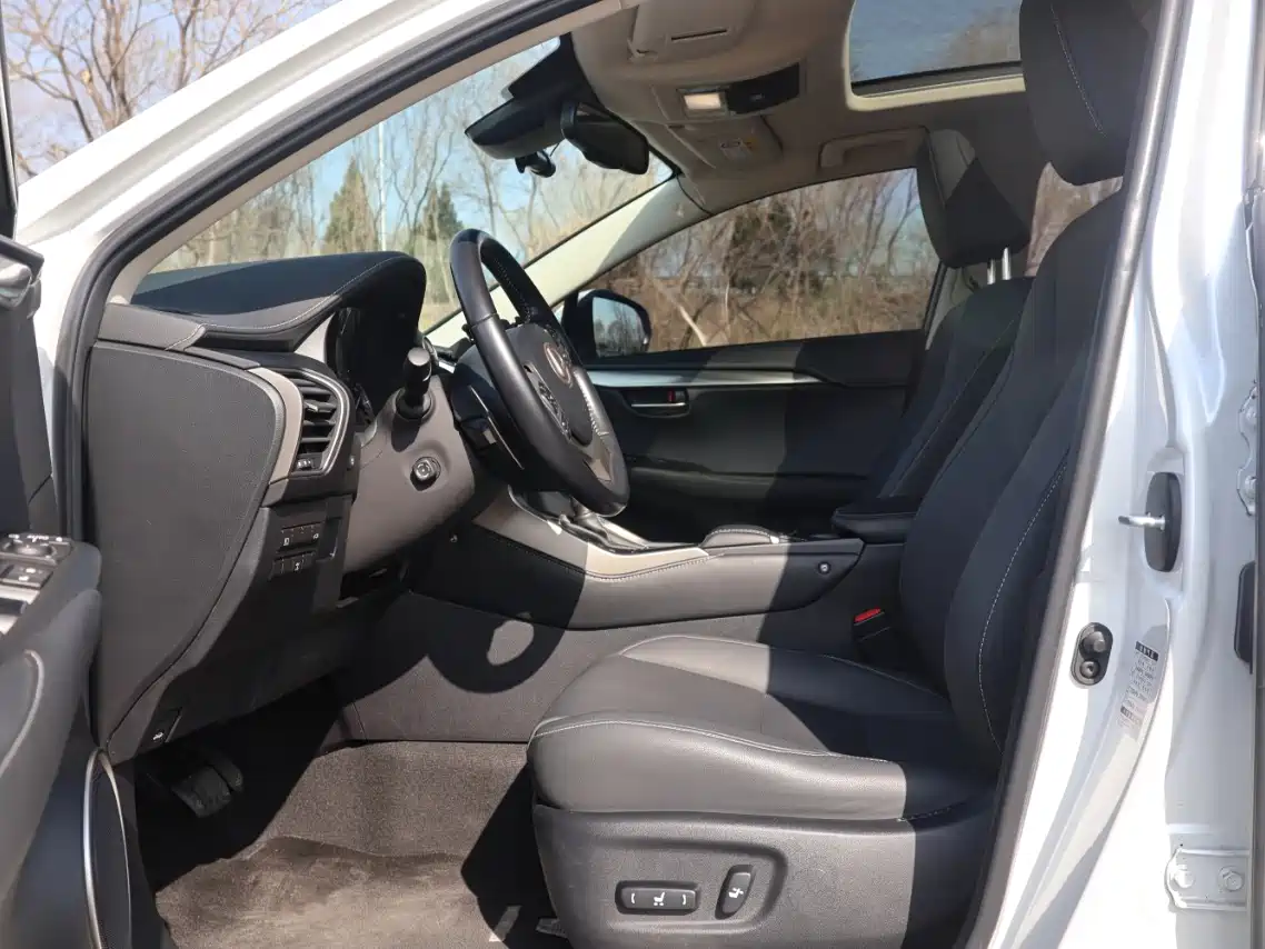 Lexus NX 2018 Model 200 AWD Fengshang Edition China V фото 8