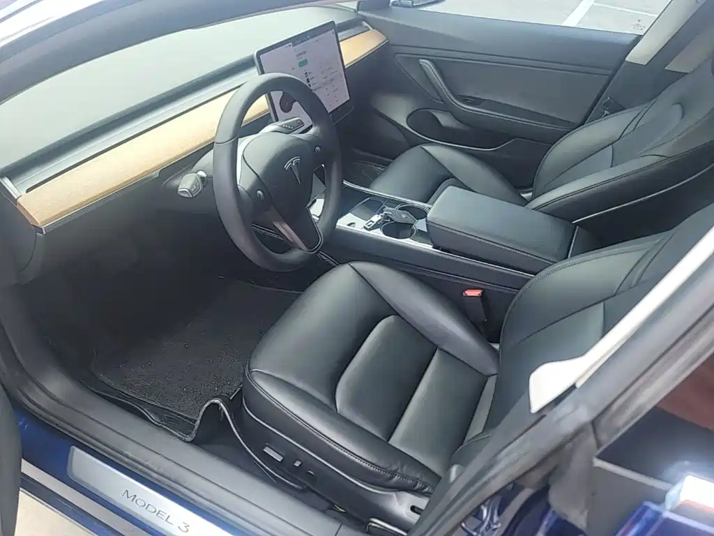 Tesla Model 3 2020 2020 Standard Range Rear-Wheel Drive Upgrade