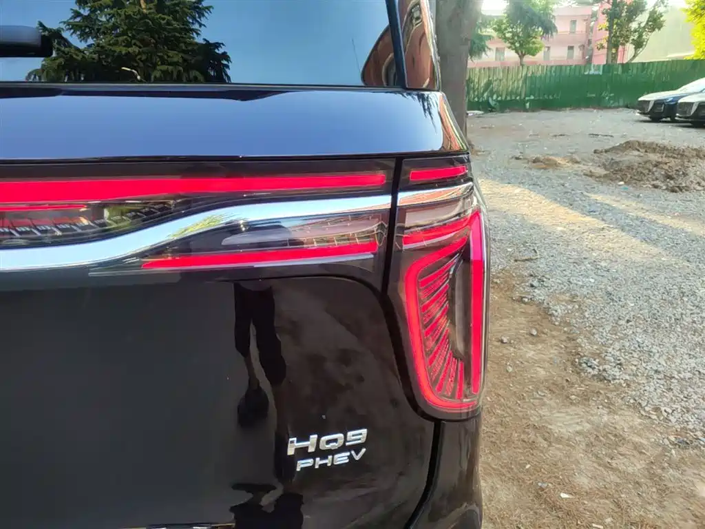 Hongqi HQ9 PHEV 2024 Model 2.0T AWD Luxury Edition фото 8