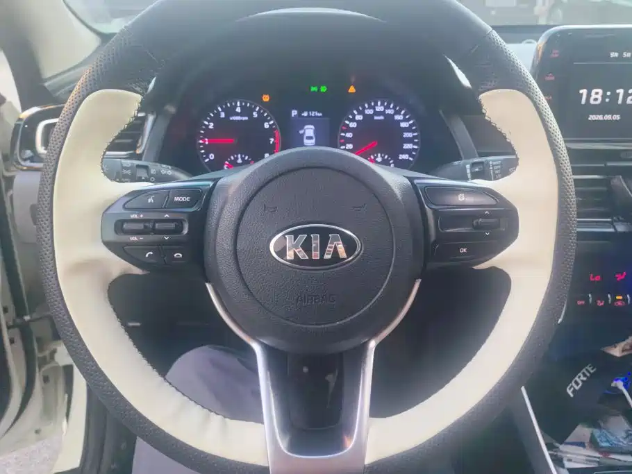 Kia Forte 2018 2018 1.6L Automatic Smart Connect Value-Connect