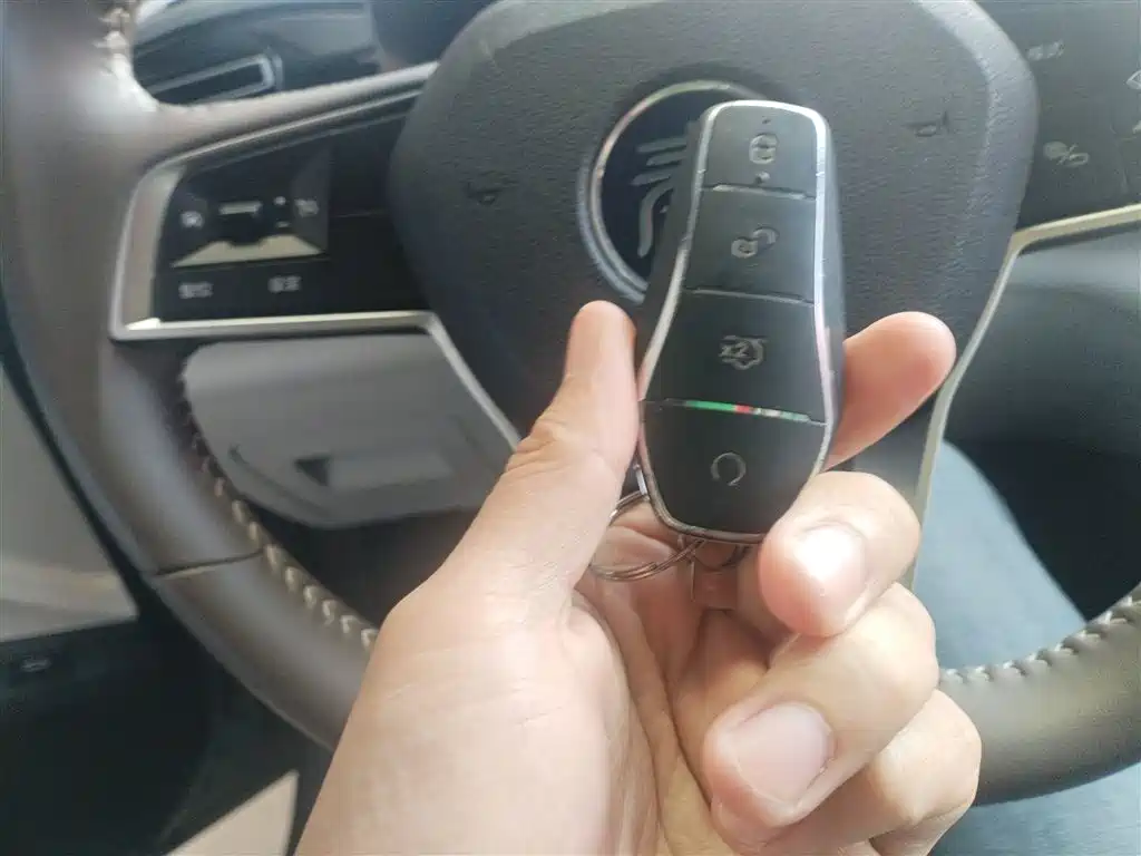 BYD Qin PLUS 2023 Champion Edition DM-i 55KM Leading фото 9
