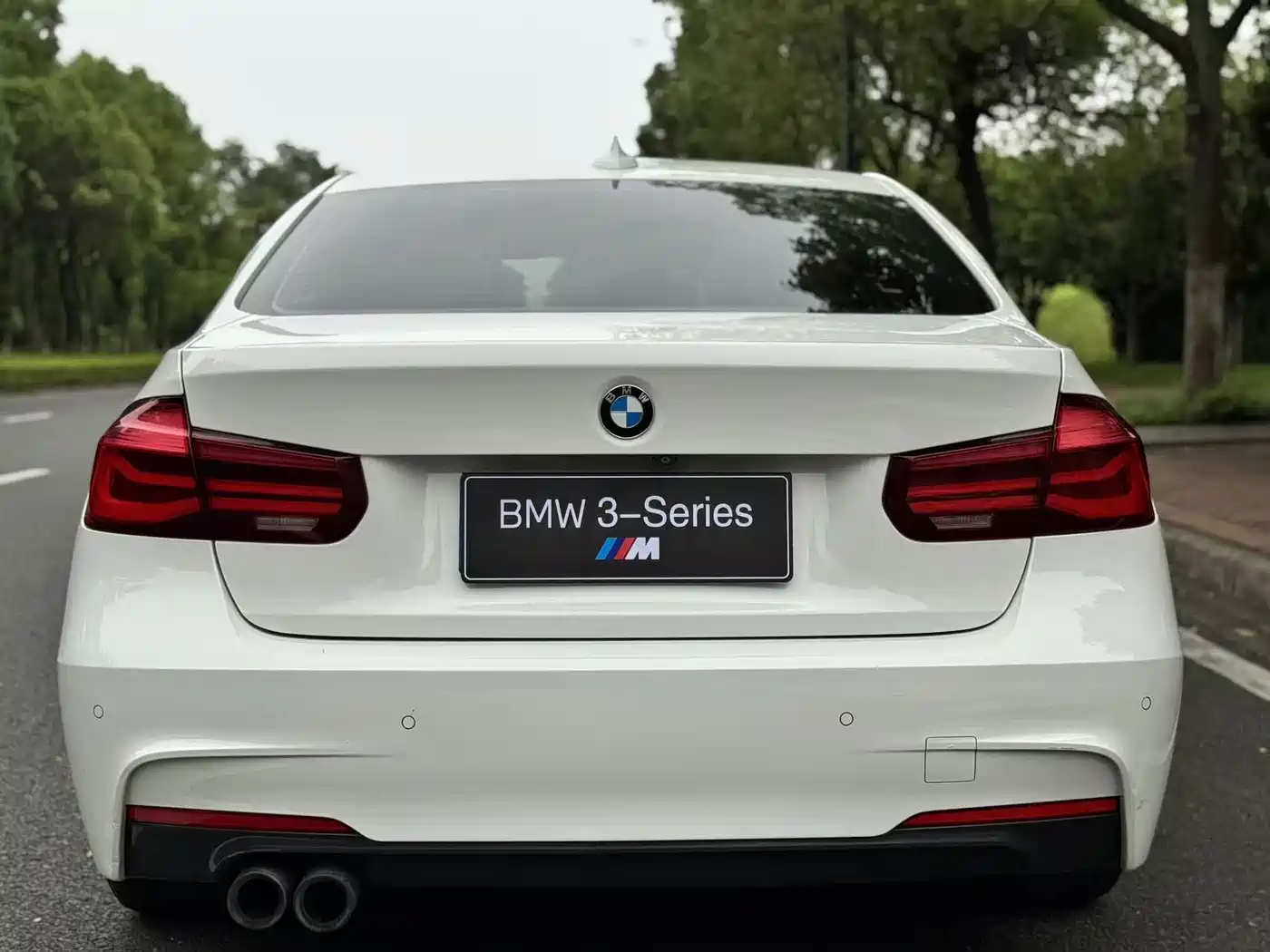 BMW 3 Series 2019 320Li M Sport Black Night Edition фото 8