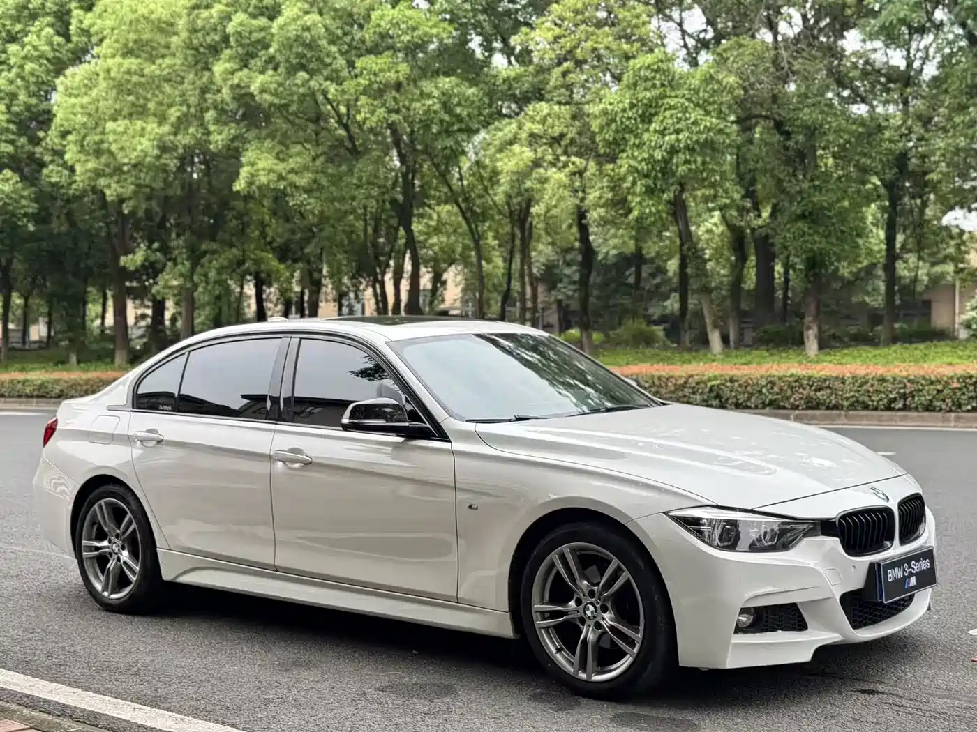 BMW 3 Series 2019 320Li M Sport Black Night Edition фото 3