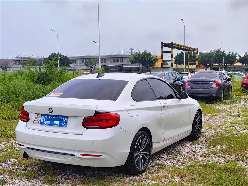 BMW 2 Series (Import) 2018 220i Sport Design Package фото 8