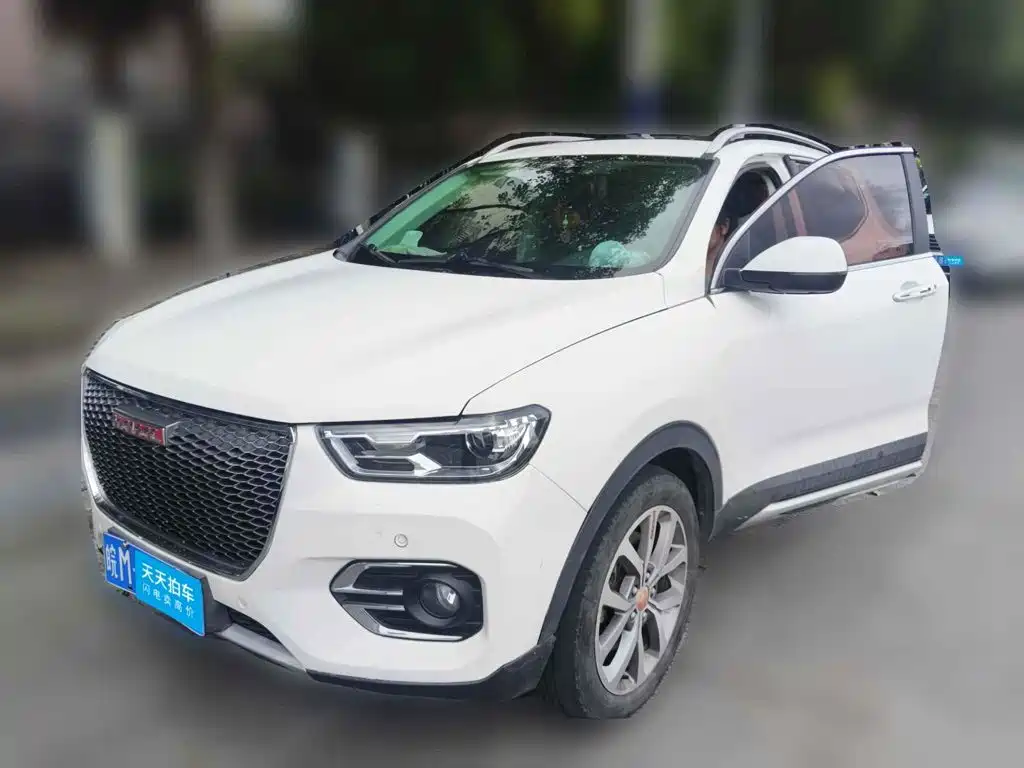 Haval H2s 2018 2018 Red Label 1.5T DCT Luxury Model
