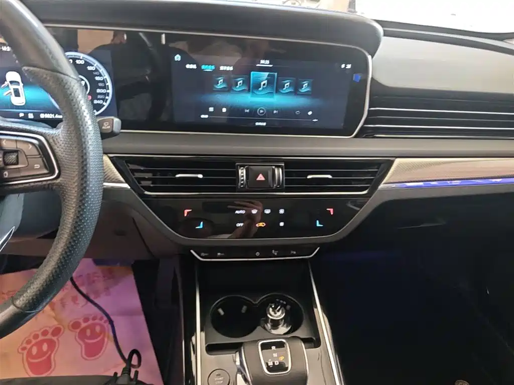 Hongqi HS5 2019 2.0T Smart Connect Enjoy Edition фото 13