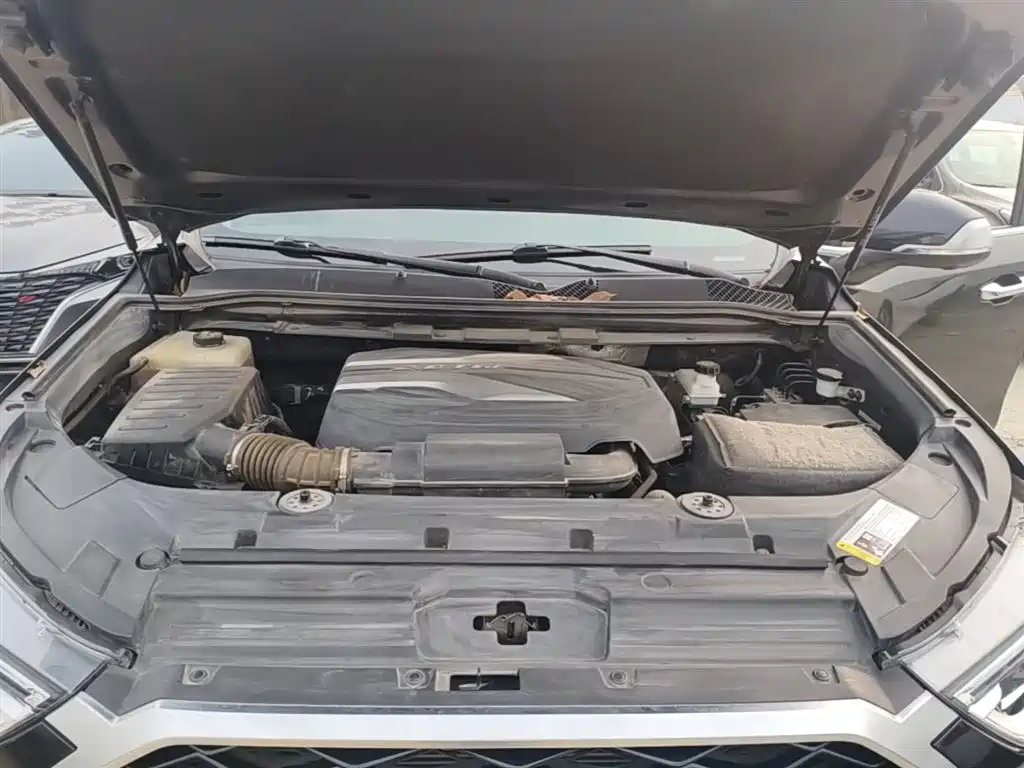 SAIC Maxus D90 Pro 2020 2.0T Gasoline AWD Flagship 6-Seater фото 11