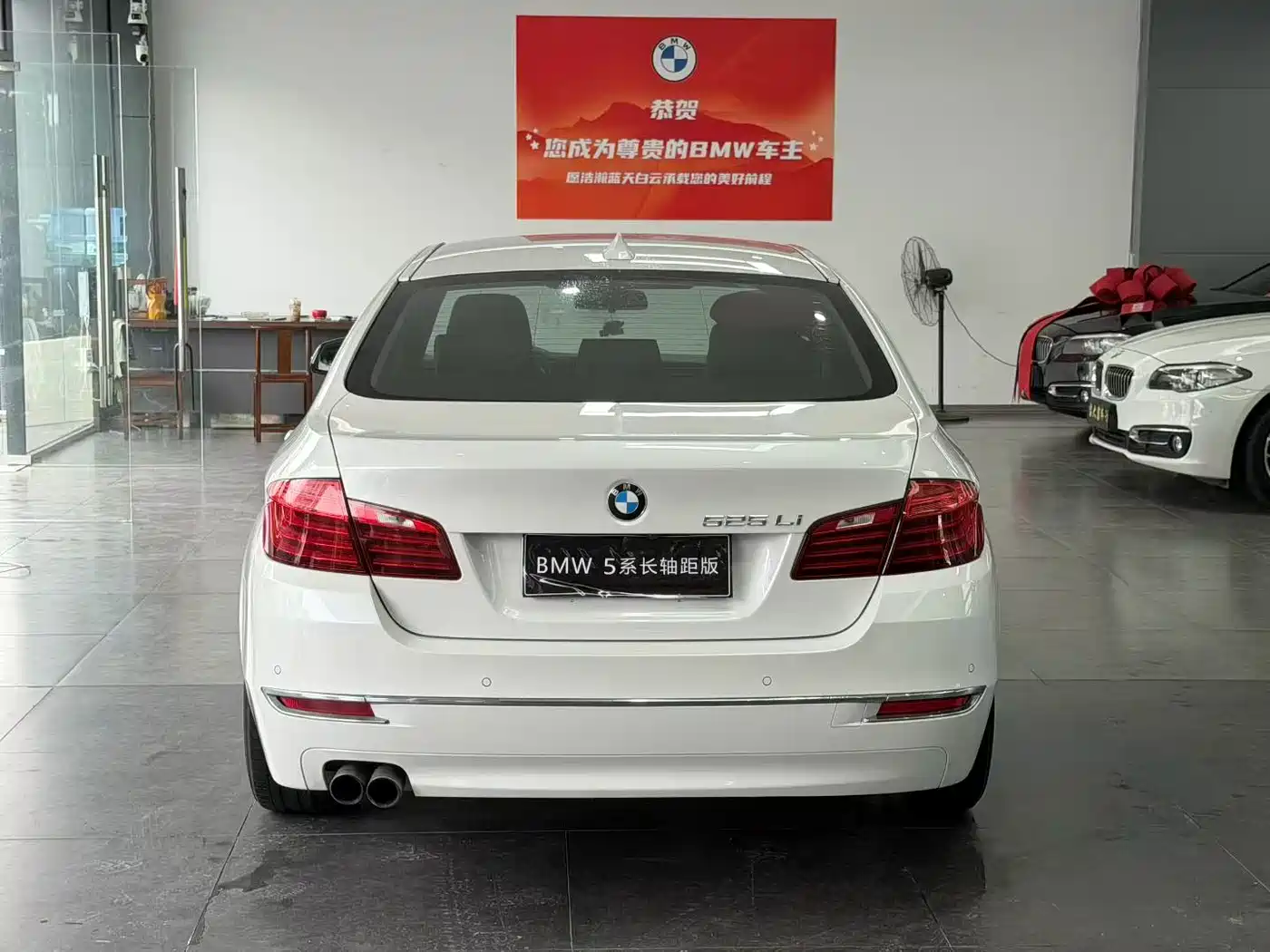 BMW 5 Series 2017 525Li Luxury Design Package фото 9