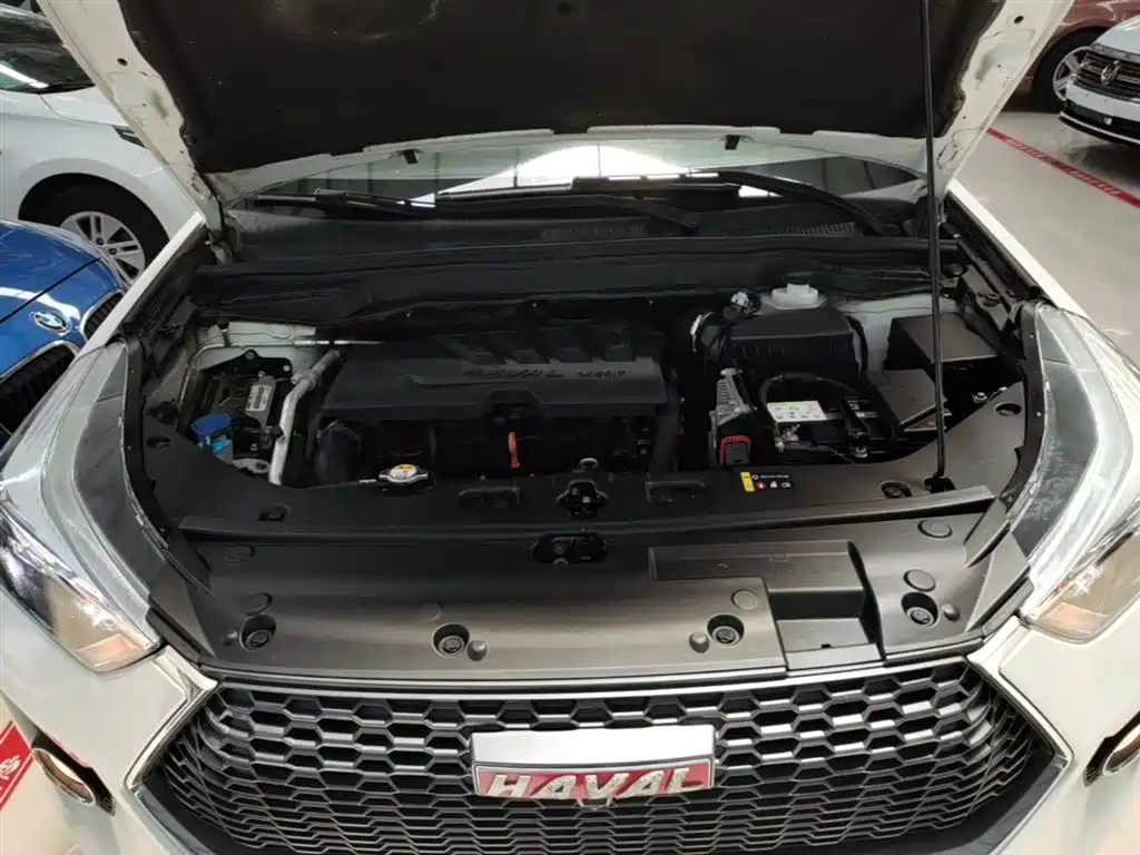 Haval H6 Coupe 2018 Red Label 1.5T Auto 2WD Ultra Luxury фото 20