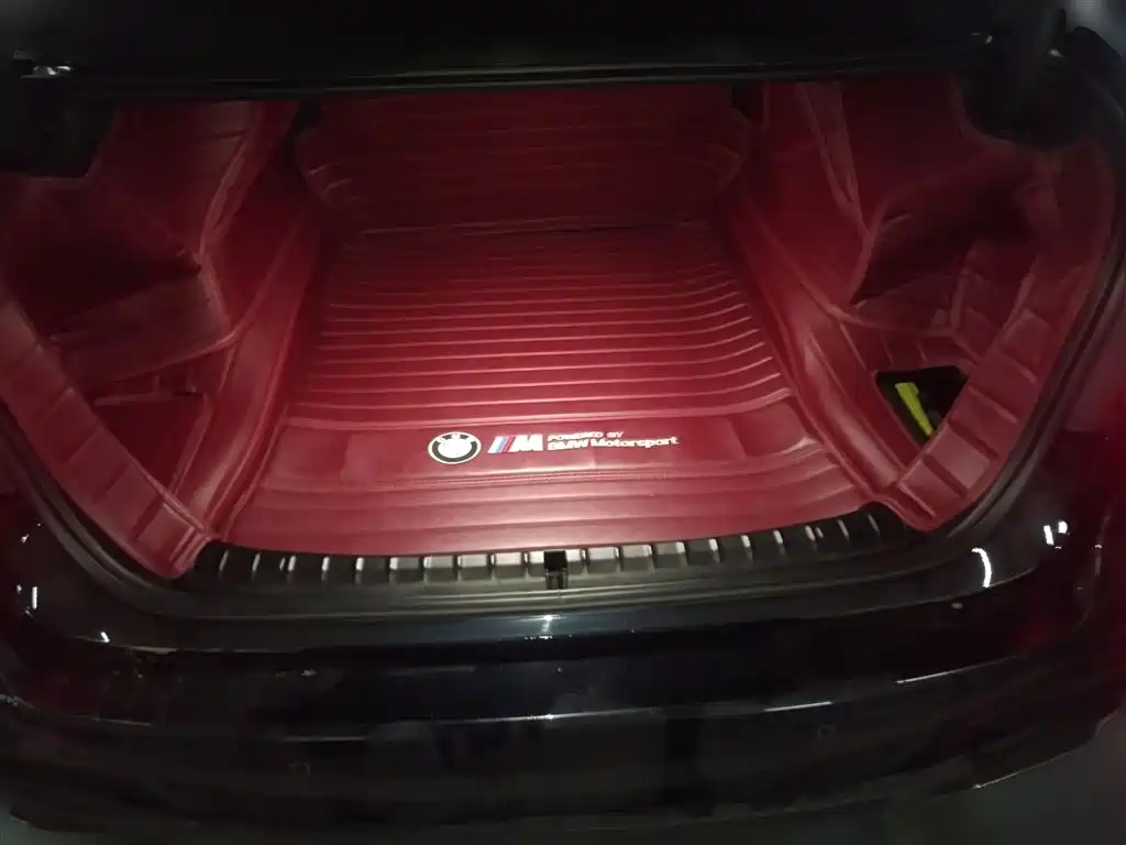 BMW 5 Series 2020 530Li Leading M Sport Package фото 20