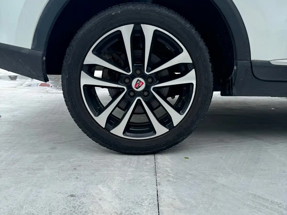 Фото 14 - Roewe RX3