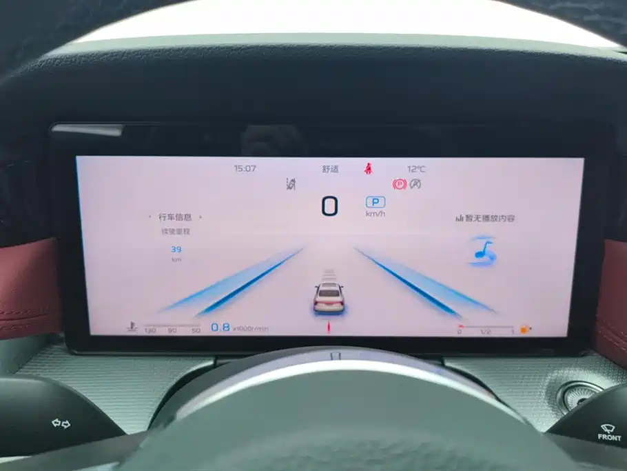 Hongqi H5 2024 2.0T Automatic Smart Connect Flag Leader Edition фото 14