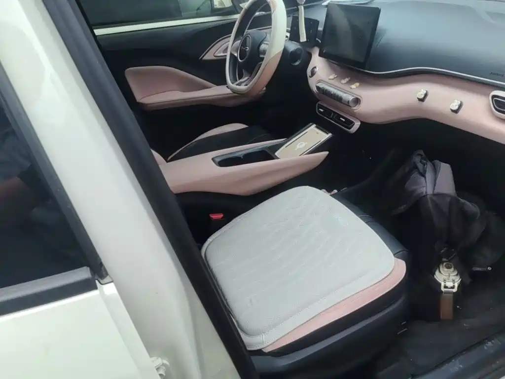 BYD Seagull 2023 2023 Vitality Edition