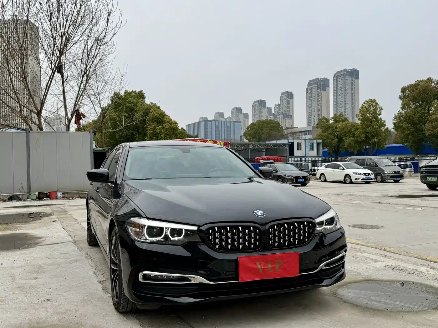 BMW 5 Series 2019 530Li Leading Luxury Package фото 4