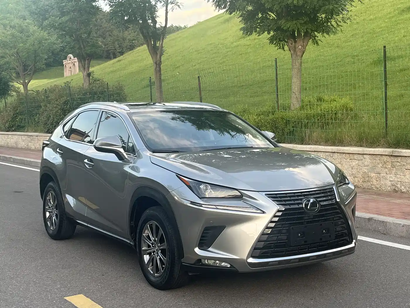 Lexus NX 2020 200 AWD F Sport China VI фото 2