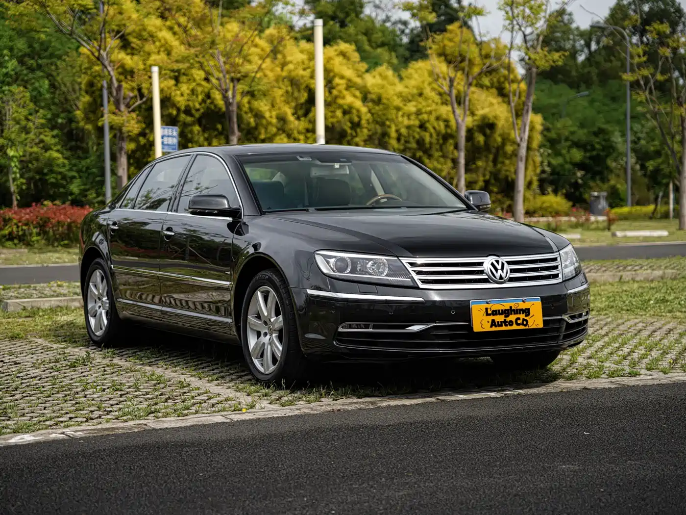 Volkswagen Phaeton 2012 3.0L Elite Custom фото 3