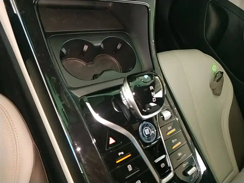 BYD Qin PLUS 2023 Champion Edition DM-i 55KM Leading фото 14
