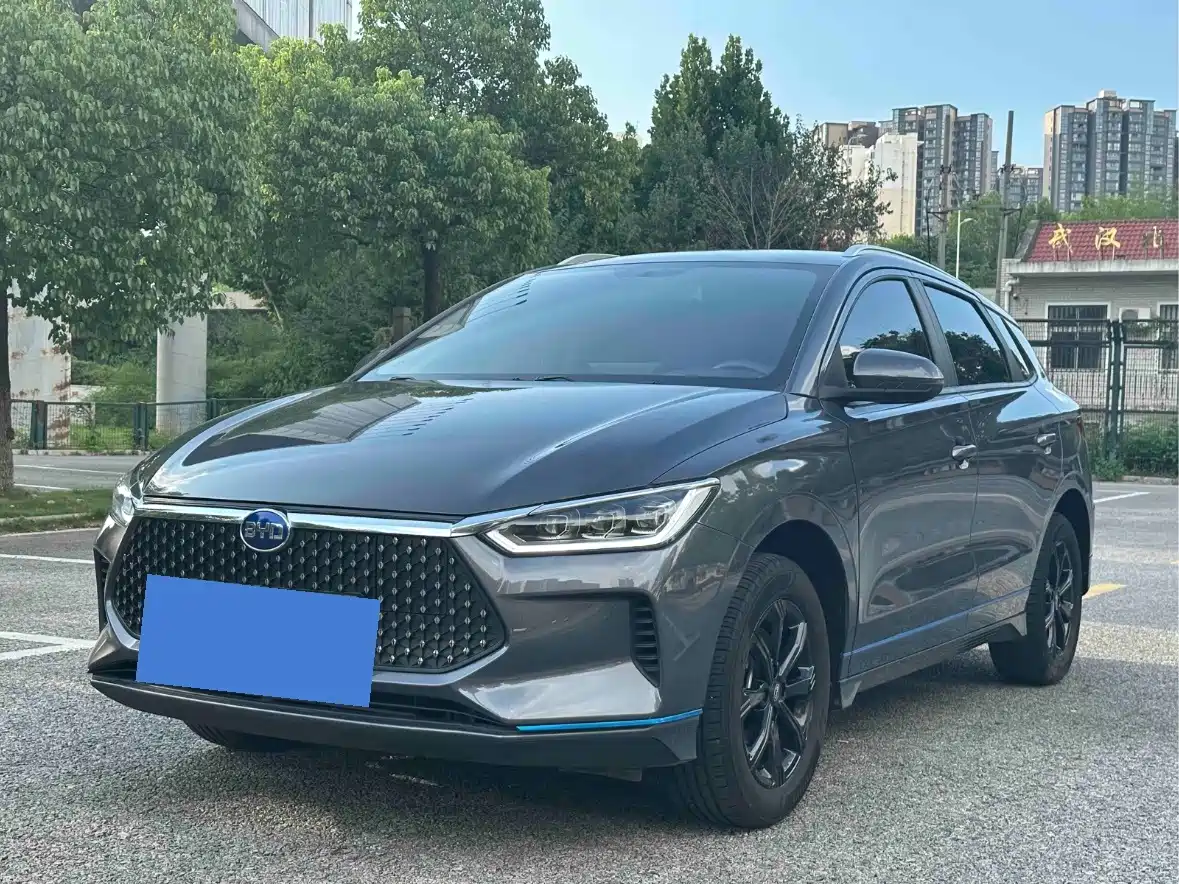 BYD e2 2022 2021 Luxury Edition