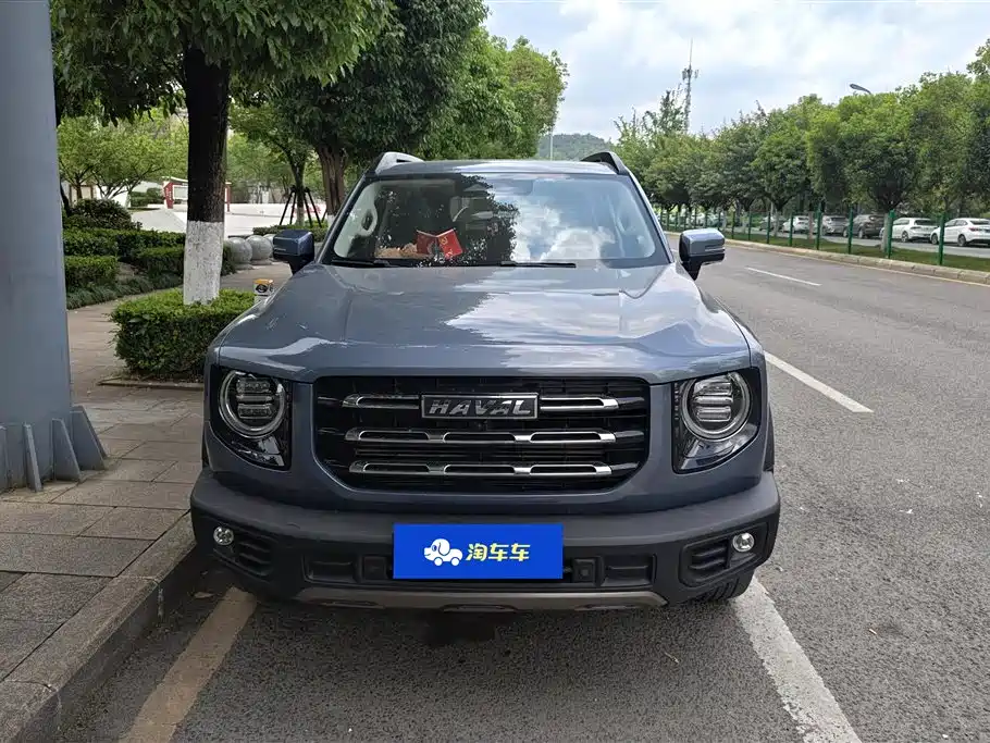 Haval Big Dog 2021 1.5T DCT 2WD Border Collie Edition фото 2