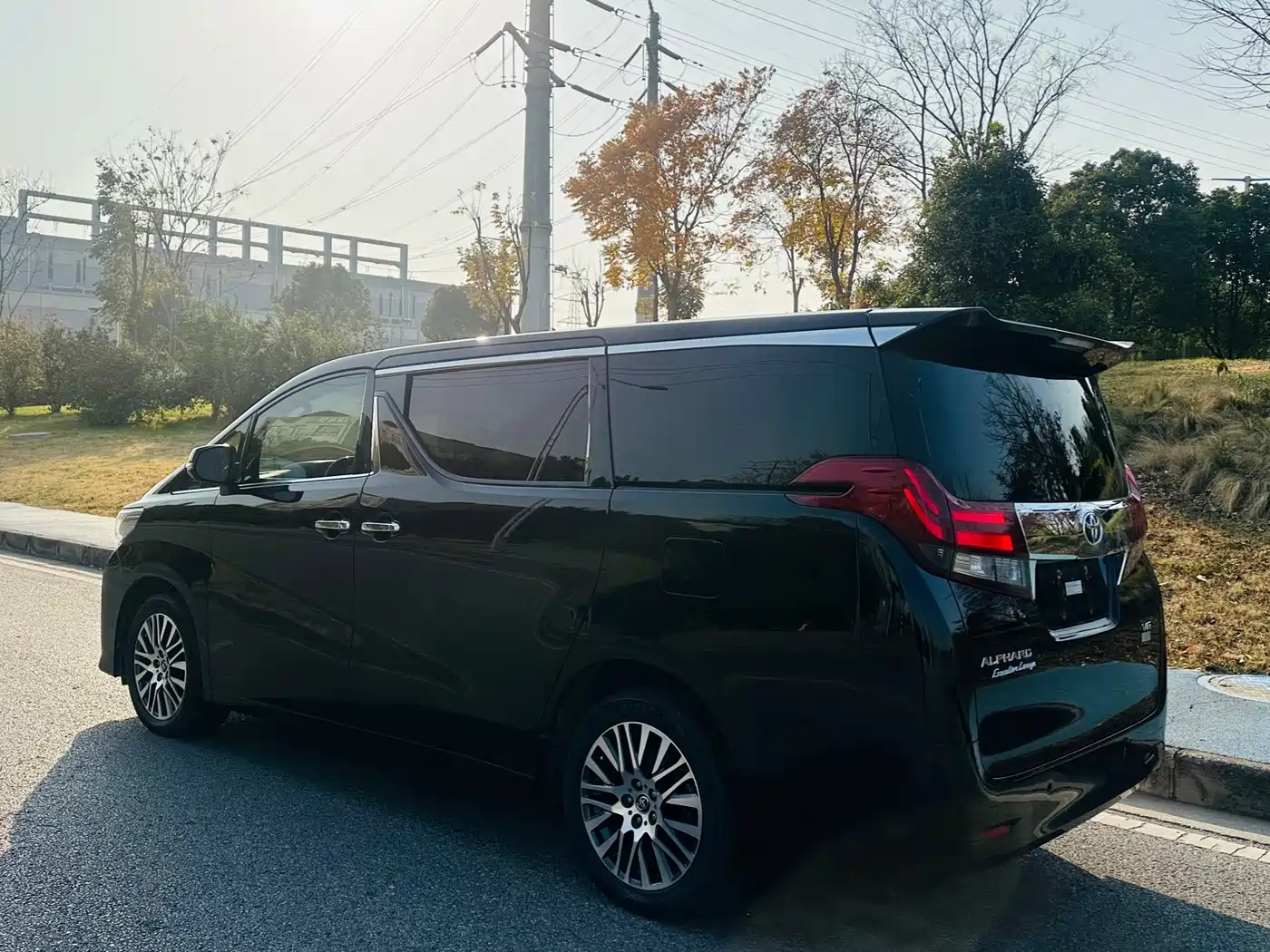 Toyota Alphard 2015 3.5L Premium Edition фото 5