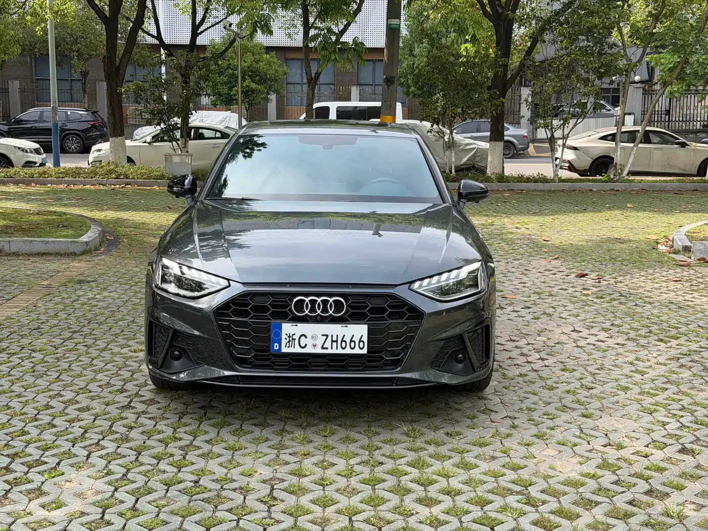 Audi A4L 2025 2025 2 Million Celebration Edition 40 TFSI Luxury Dynamic