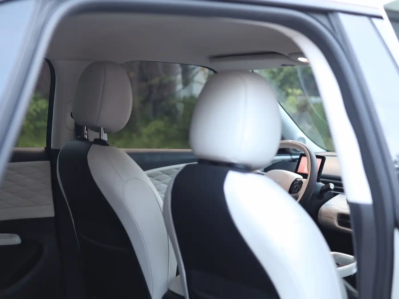 Фото 28 - Dongfeng Yipai Nano 01