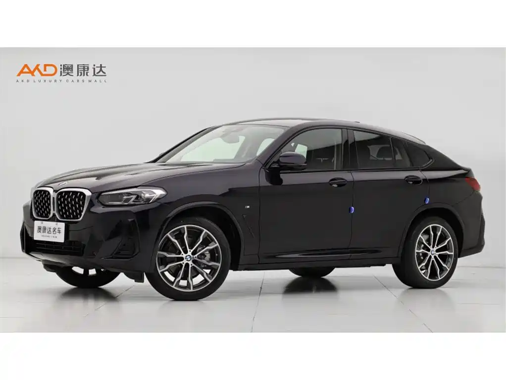 BMW X4 2022 xDrive 30i M Sport Package