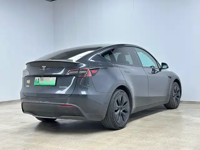 Tesla Model Y 2024 Rear-Wheel Drive Version — фото 4