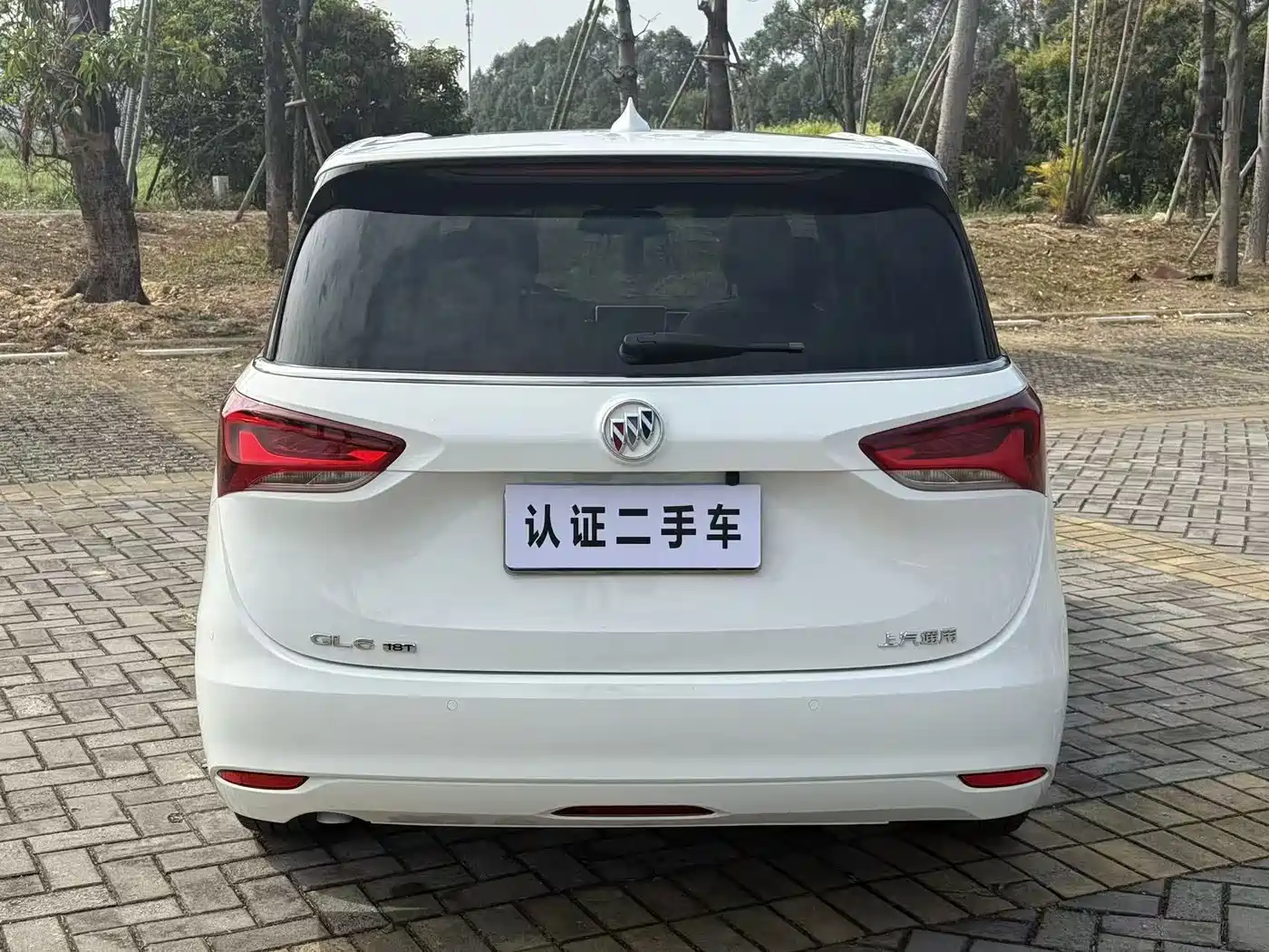 Buick GL6 2019 18T 6-seat Elite China VI фото 10