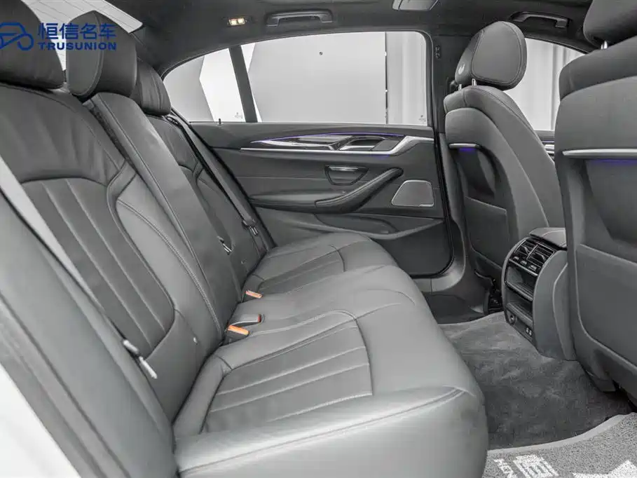 BMW 5 Series 2020 530Li Leading M Sport Package фото 16