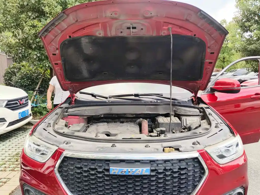 Фото 3 - Haval H2