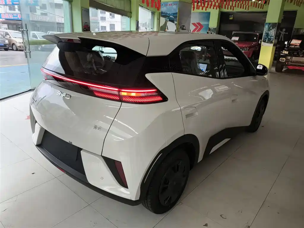 BYD Seagull 2025 Smart Drive Edition 305km Vitality Version фото 7