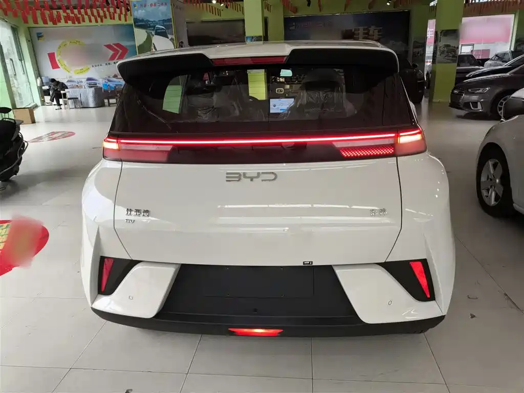 BYD Seagull 2025 Smart Drive Edition 305km Vitality Version фото 6