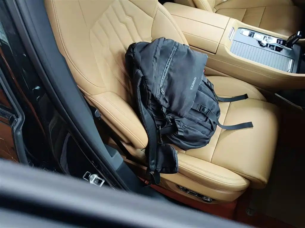 Lynk & Co 09 EM-P 2024 2.0TD EM-P AWD PRO 7-Seater фото 25