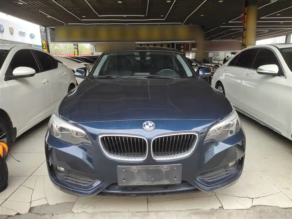 BMW 2 Series (Import) 2015 218i фото 3