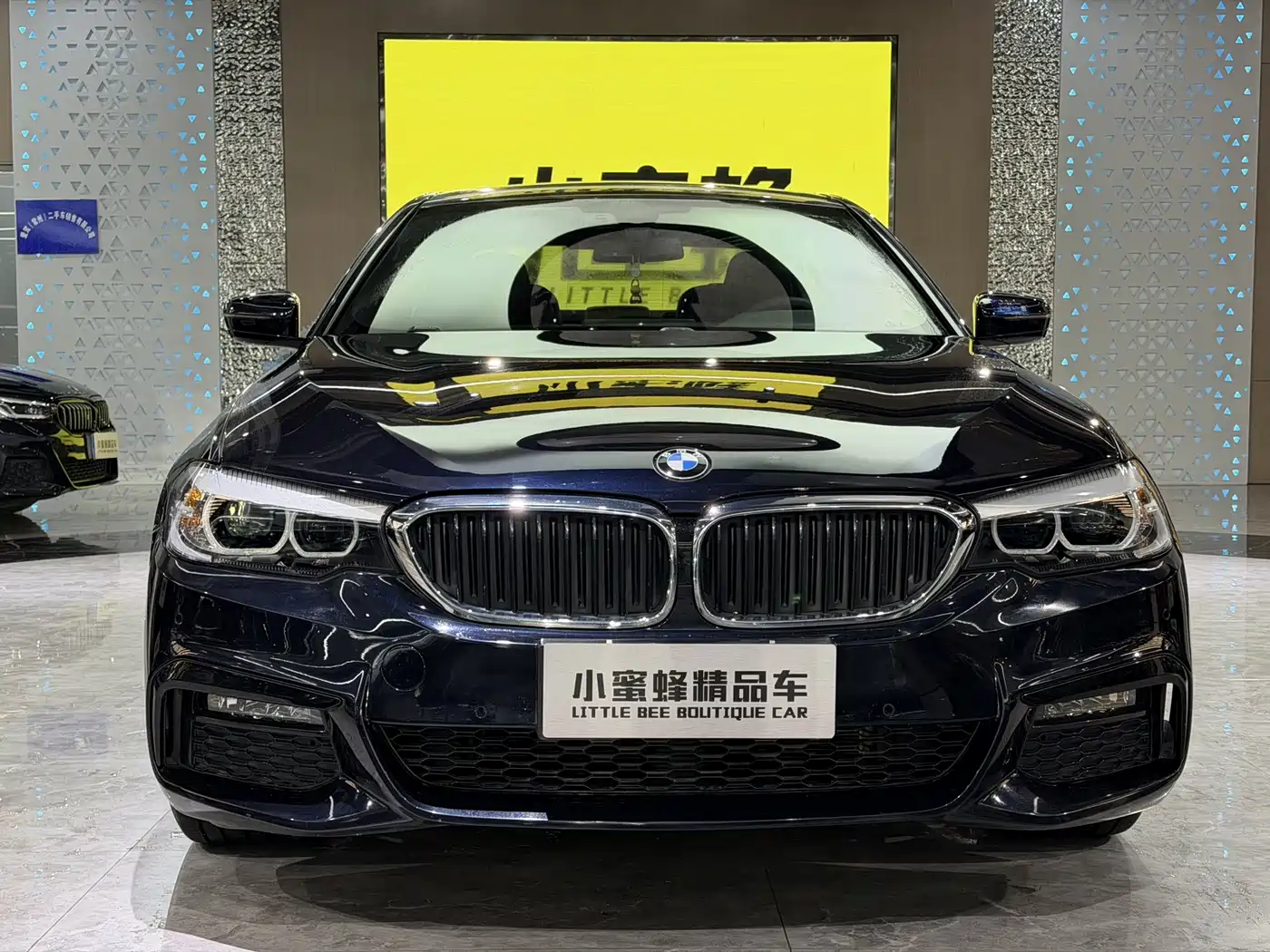 BMW 5 Series 2019 530Li Leading M Sport Package фото 2