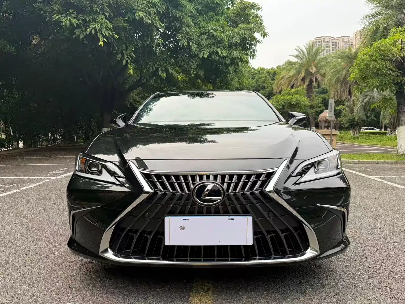 Lexus ES 2023 200 Excellence Edition фото 2