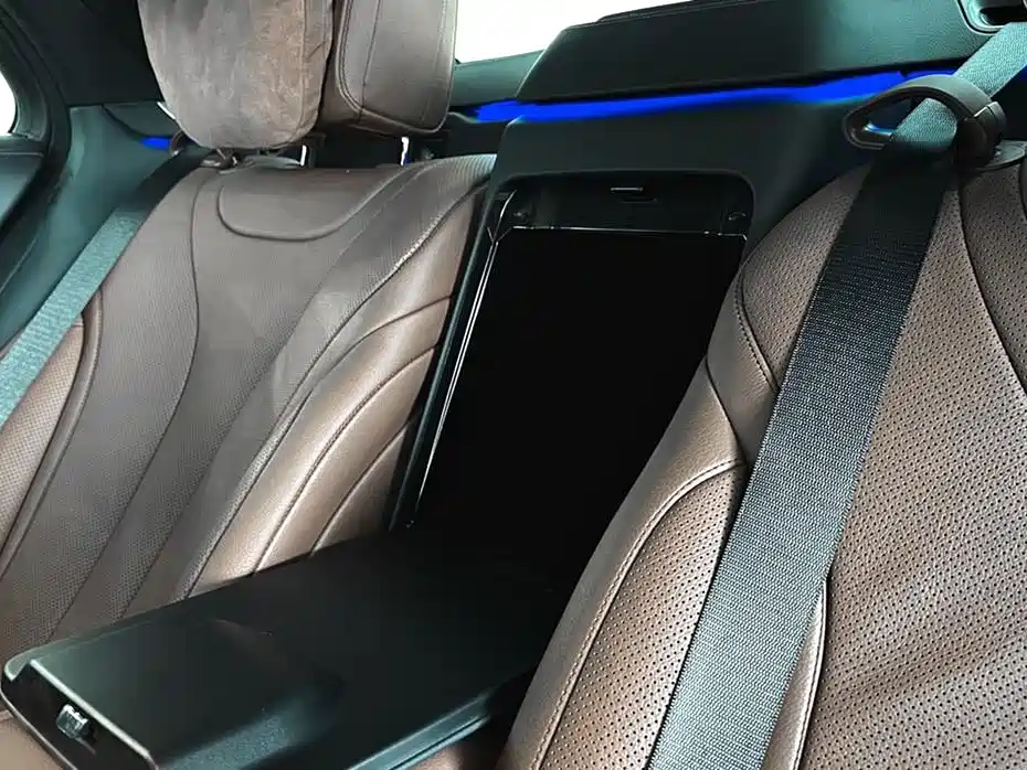 Mercedes-Benz S-Class 2020 S 350 L Premium Edition Collector's Version фото 13