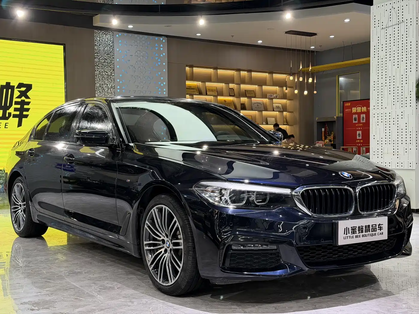 BMW 5 Series 2019 530Li Leading M Sport Package фото 3
